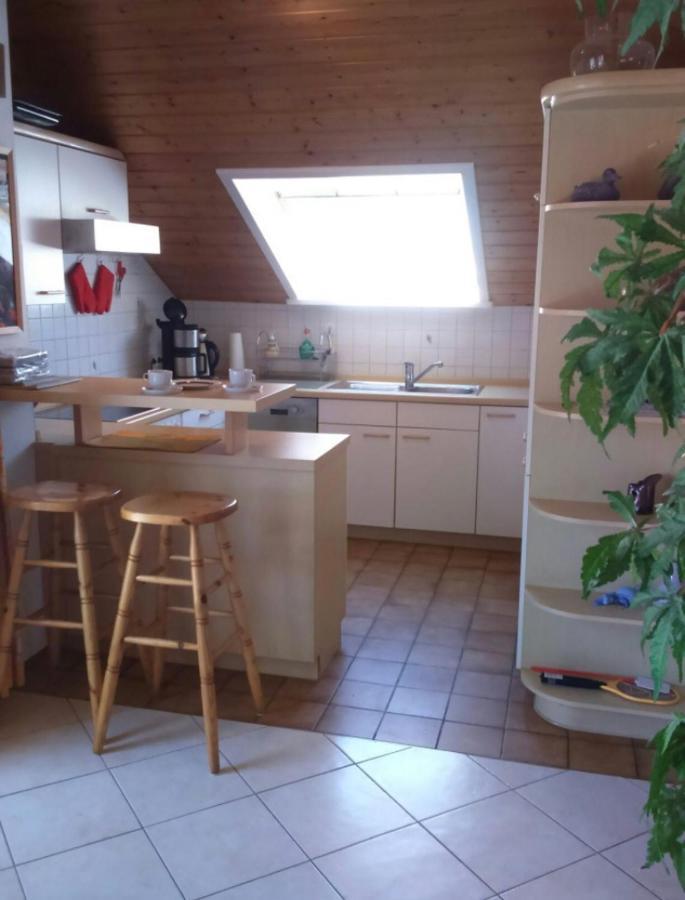 エリスキルヒHaus Saentisblickアパートメント エクステリア 写真